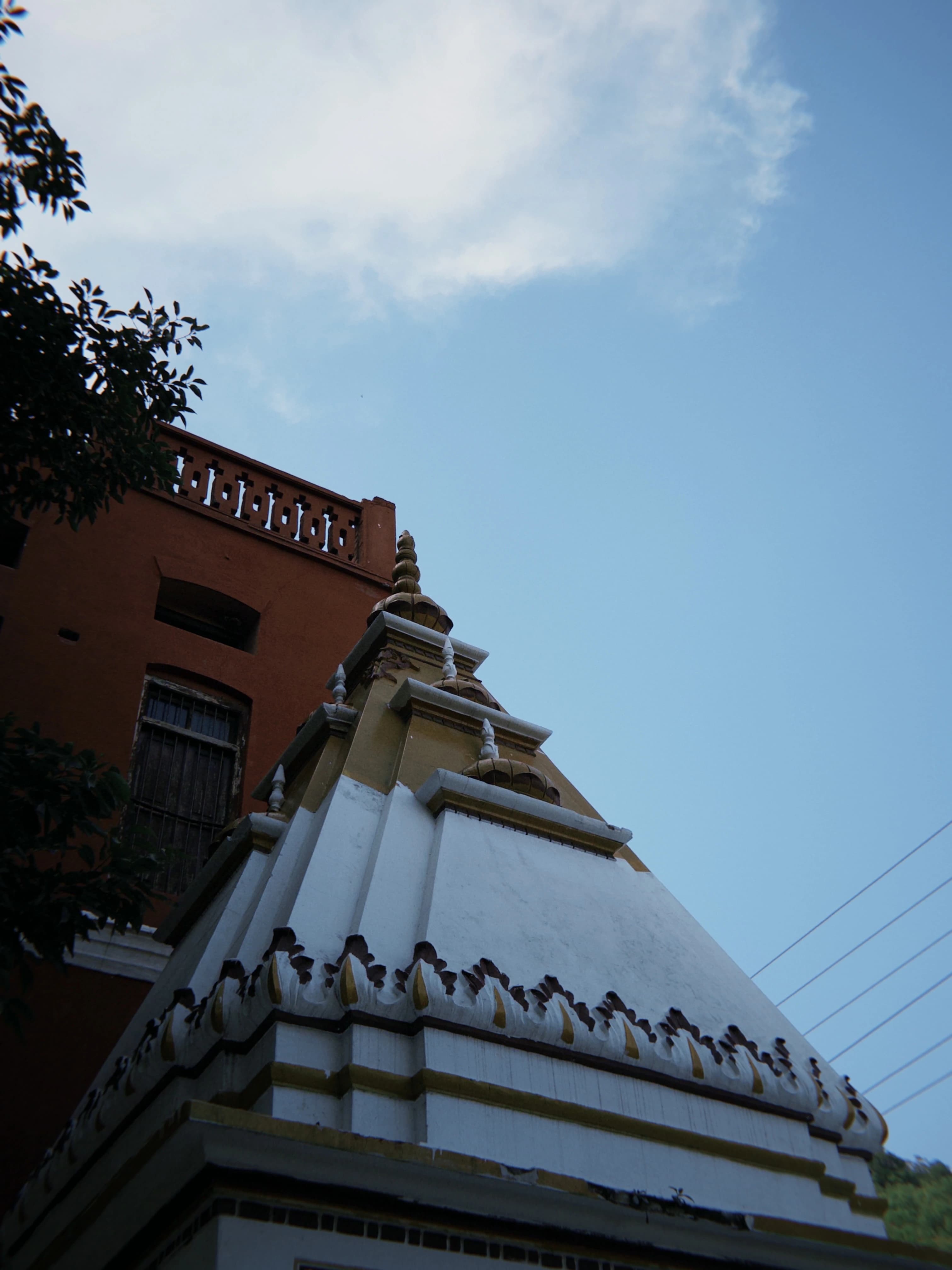 Photograph by Musa Qureshi